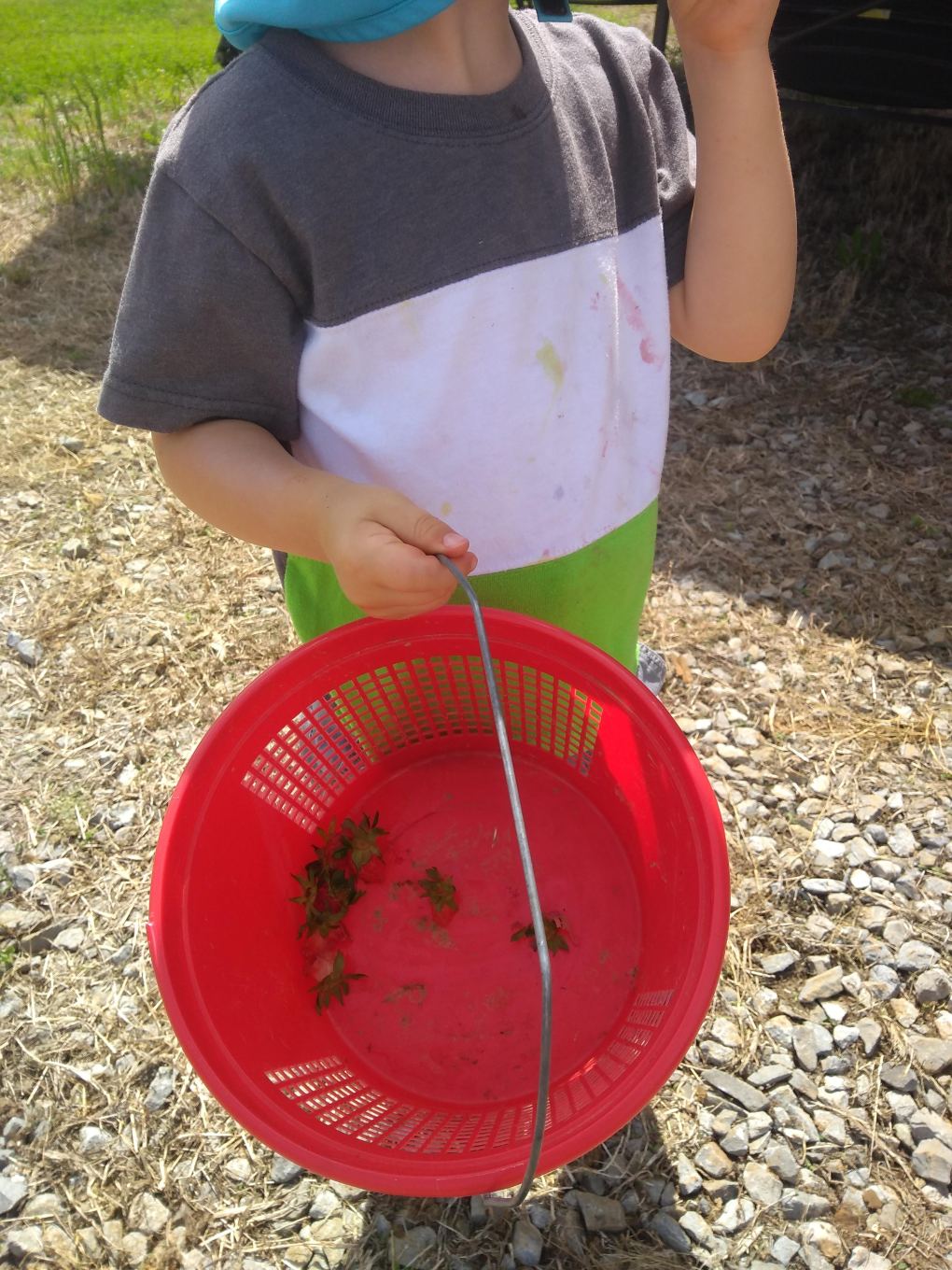 IMG_20190508_105351491